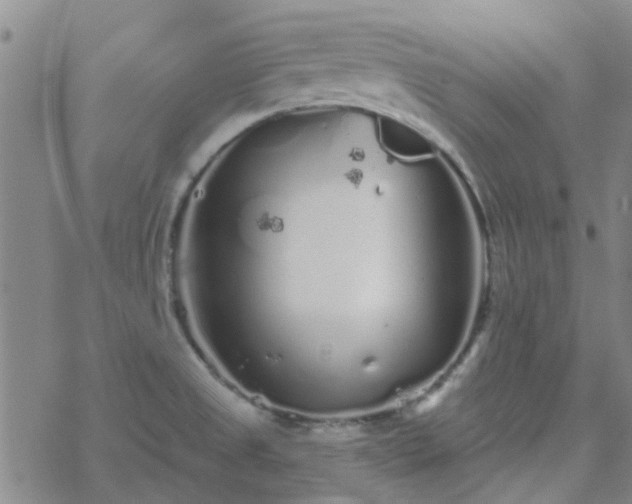 X0000069361525200605192045