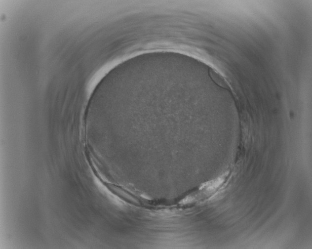 X0000069361527200605192045