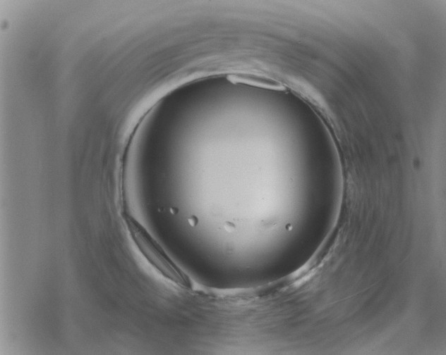 X0000069361528200605192045