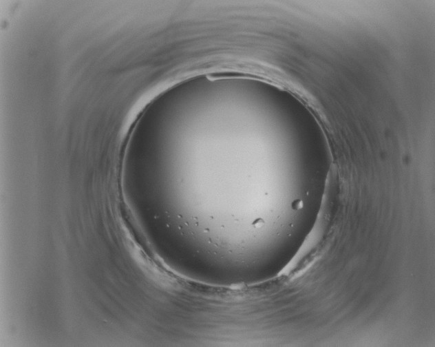 X0000069361530200605192045