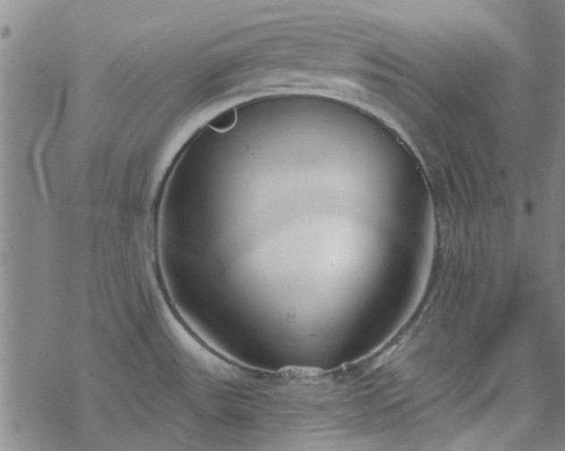 X0000069361531200605192045