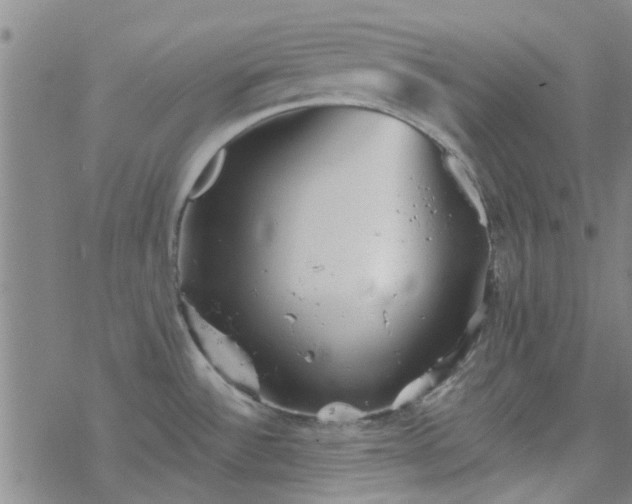 X0000069361532200605192045