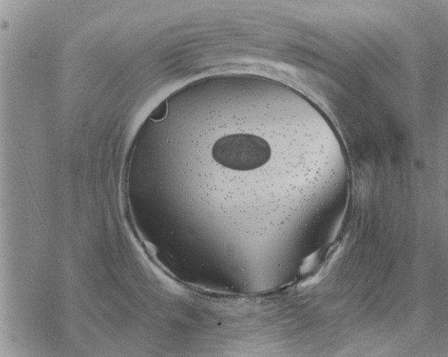 X0000069361533200605192045