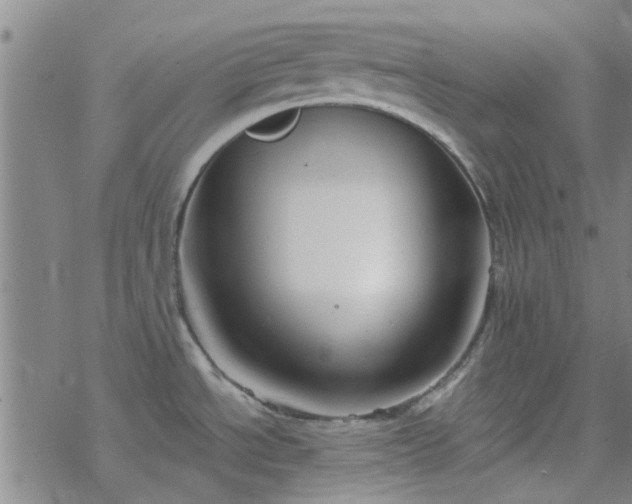 X0000069361534200605192045