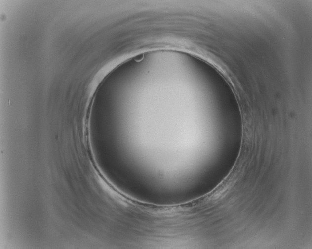 X0000069361535200605192045