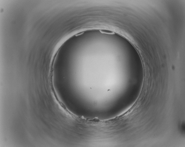 X0000069361536200605192045