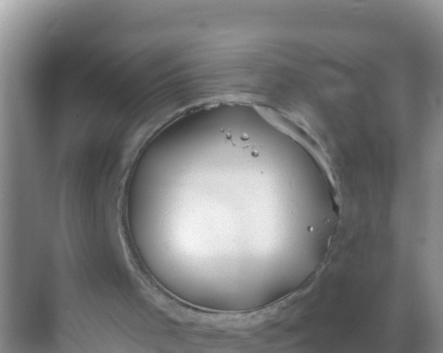 X0000069360001200605262011