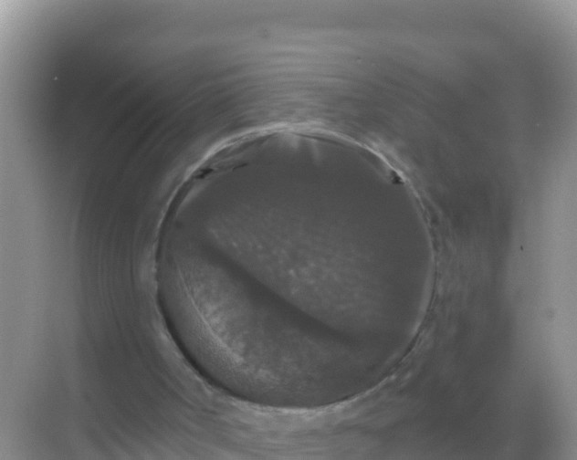 X0000069360002200605262011