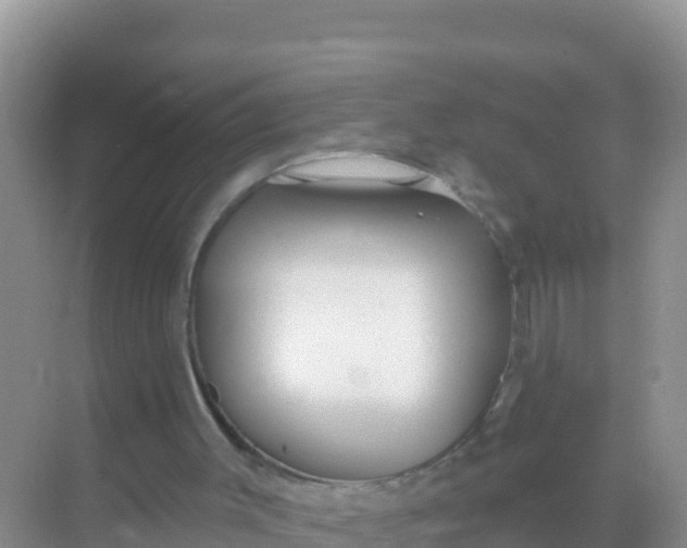 X0000069360003200605262011