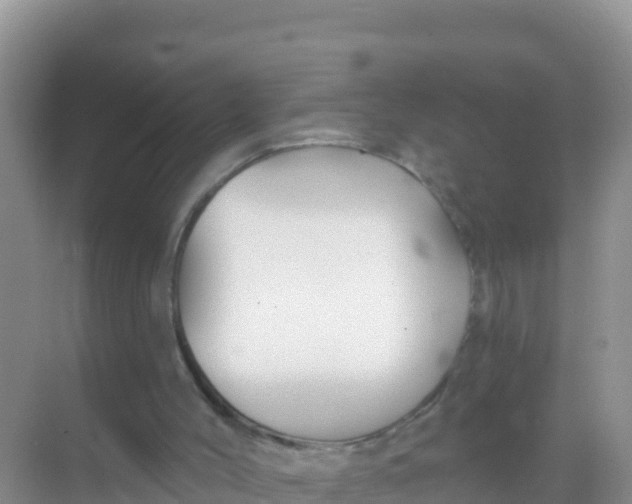 X0000069360004200605262011