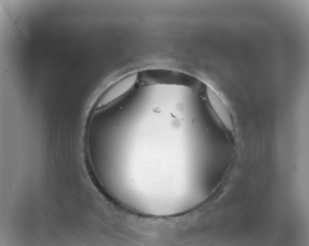 X0000069360007200605262011