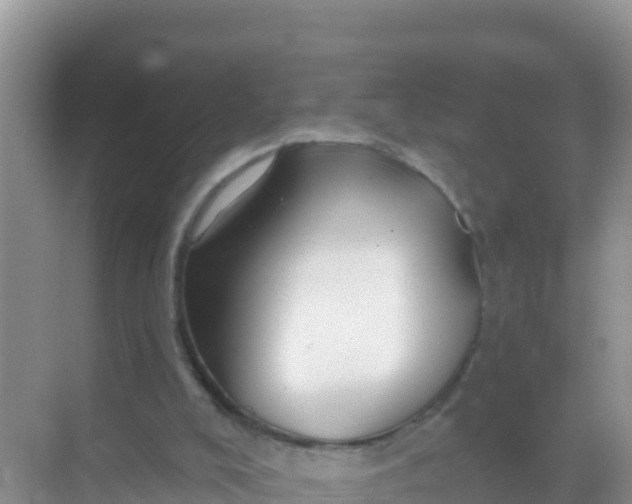 X0000069360008200605262010