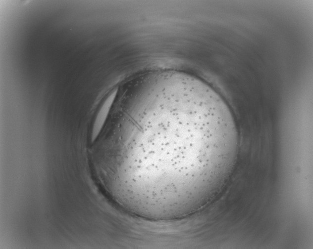 X0000069360010200605262010