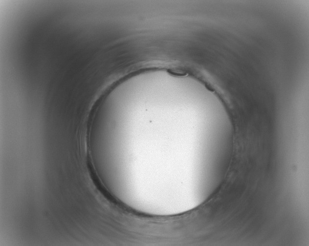 X0000069360011200605262010