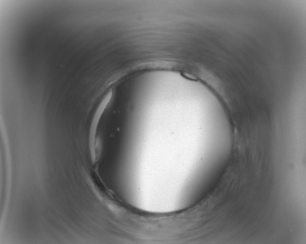 X0000069360013200605262010