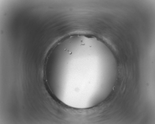 X0000069360015200605262010