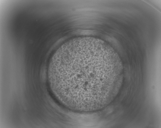 X0000069360016200605262010