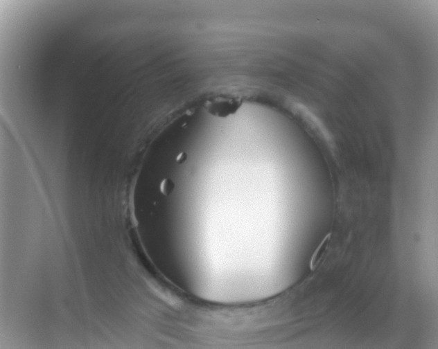 X0000069360017200605262010