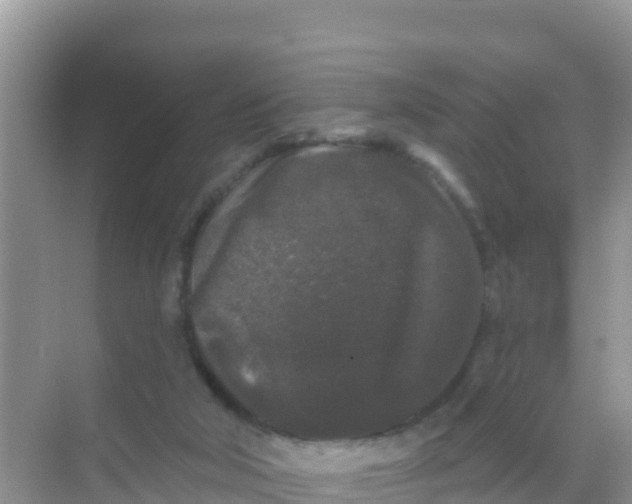 X0000069360018200605262010