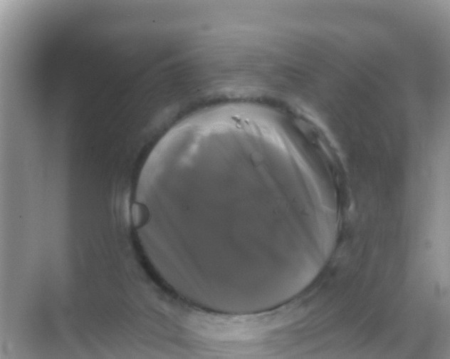 X0000069360019200605262010