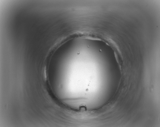 X0000069360020200605262010