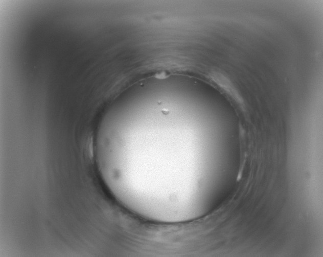 X0000069360021200605262010