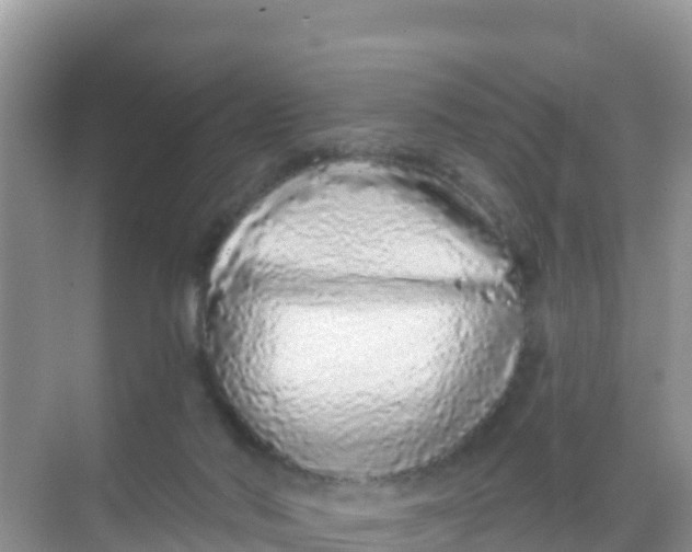 X0000069360022200605262010