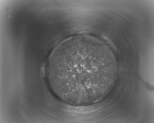 X0000069360026200605262010