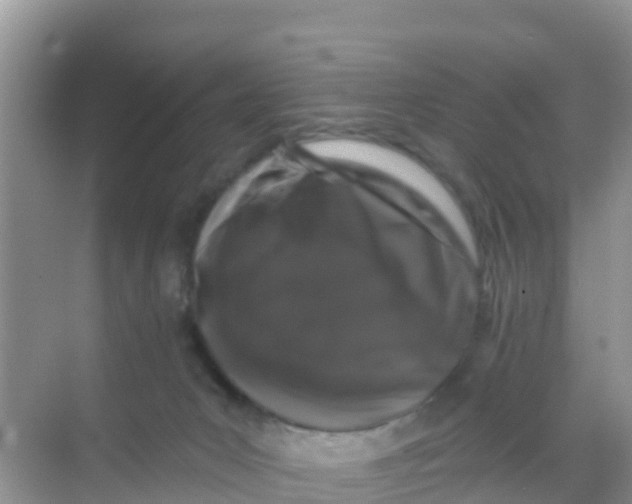 X0000069360031200605262010