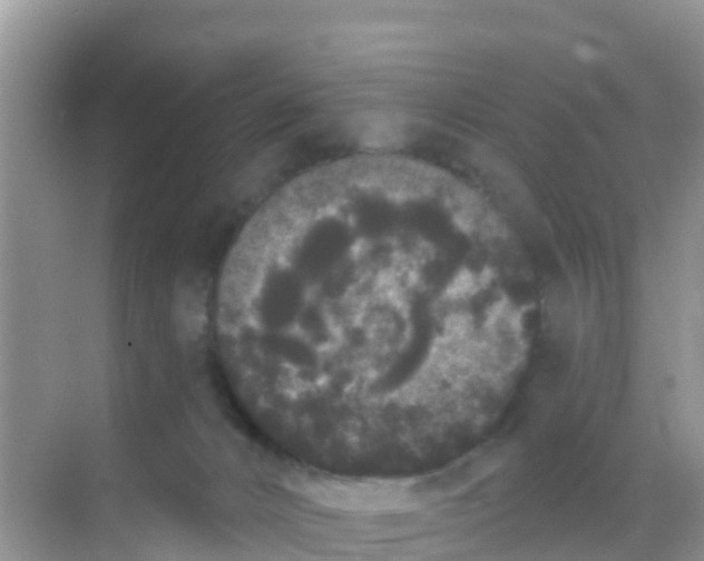 X0000069360032200605262010