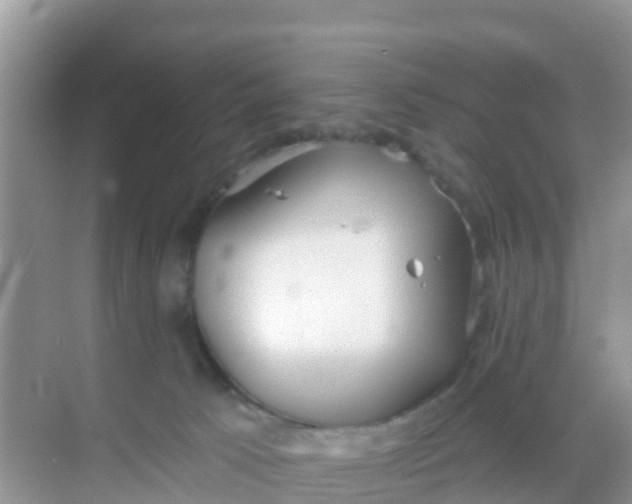 X0000069360033200605262010