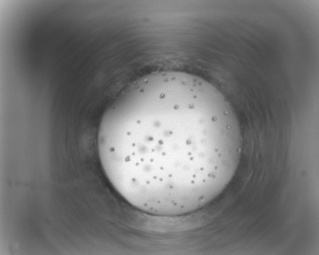 X0000069360034200605262010