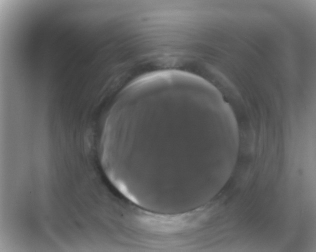 X0000069360035200605262010