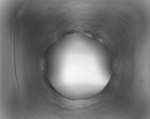 X0000069360038200605262010