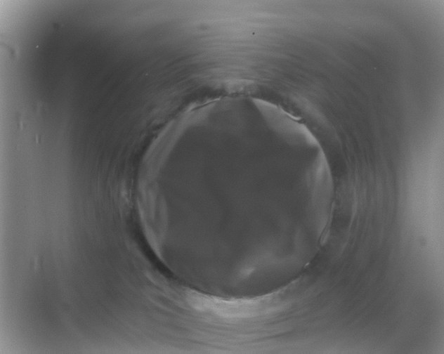 X0000069360039200605262010