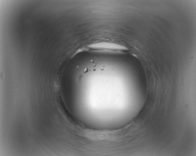 X0000069360040200605262010