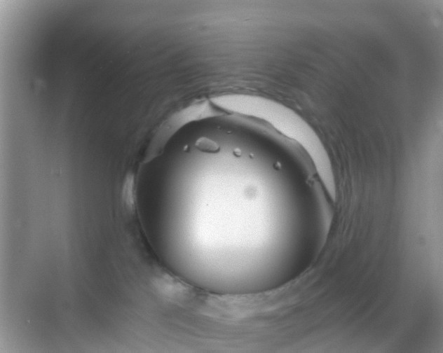 X0000069360041200605262010