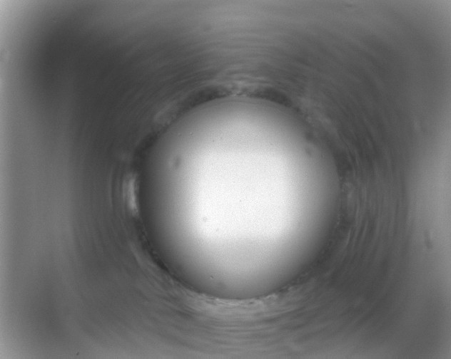 X0000069360042200605262010