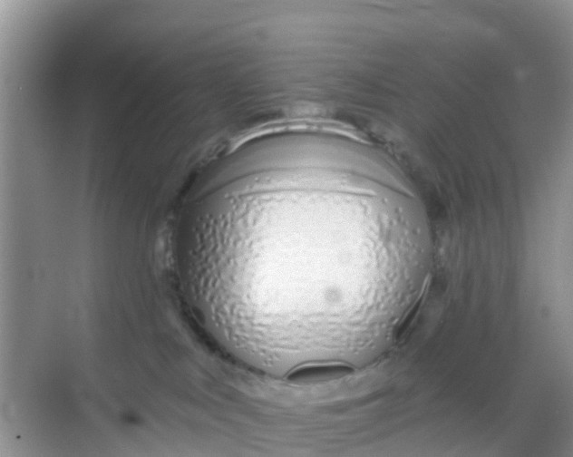 X0000069360043200605262010