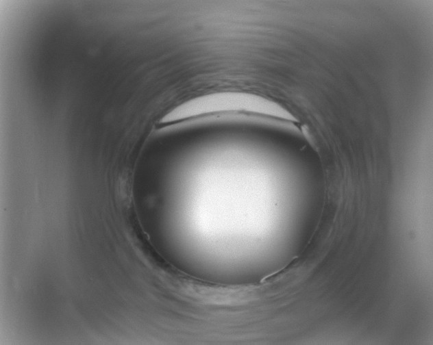 X0000069360044200605262010