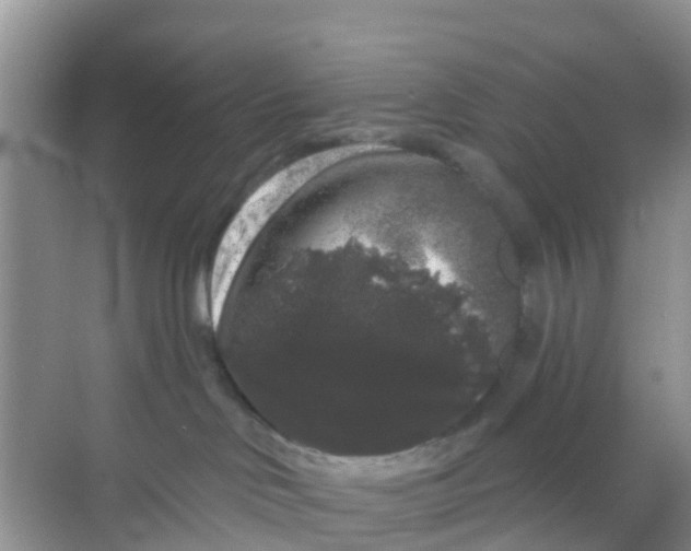 X0000069360046200605262010