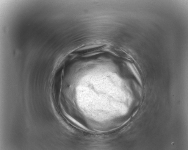 X0000069360049200605262009