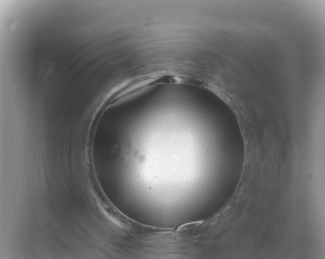 X0000069360050200605262009