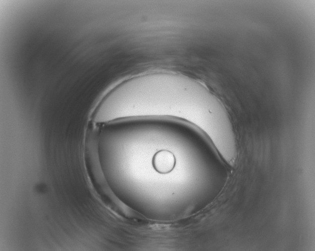 X0000069360052200605262009