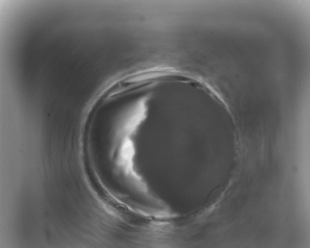 X0000069360055200605262009