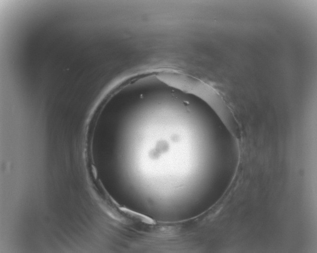 X0000069360056200605262009