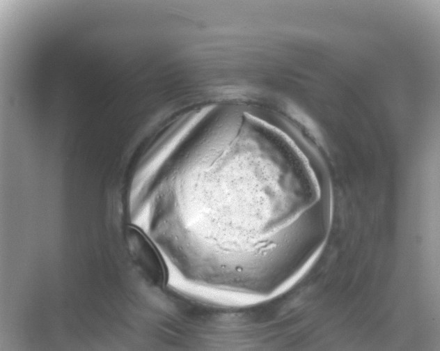 X0000069360059200605262009