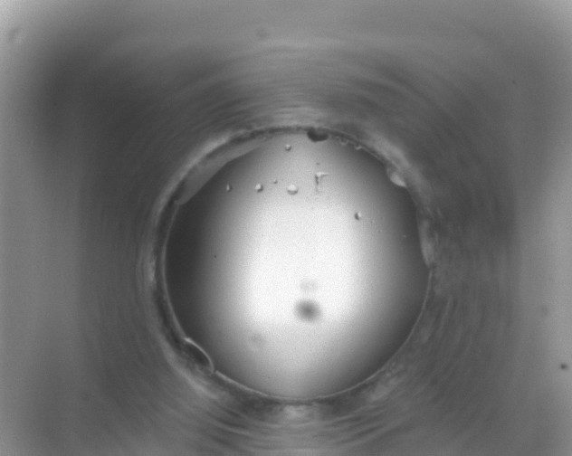 X0000069360060200605262009