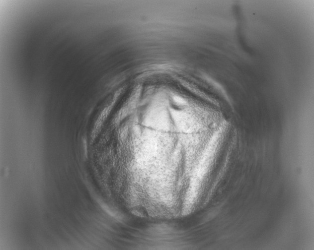 X0000069360061200605262009