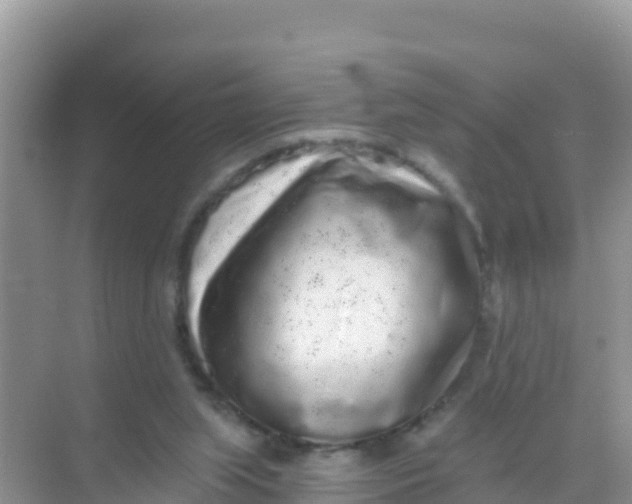 X0000069360063200605262009